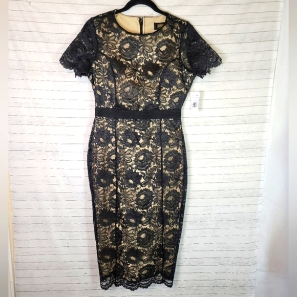 Alexia Admor Black and Gold Lace Midi Dress - Picture 1 of 13